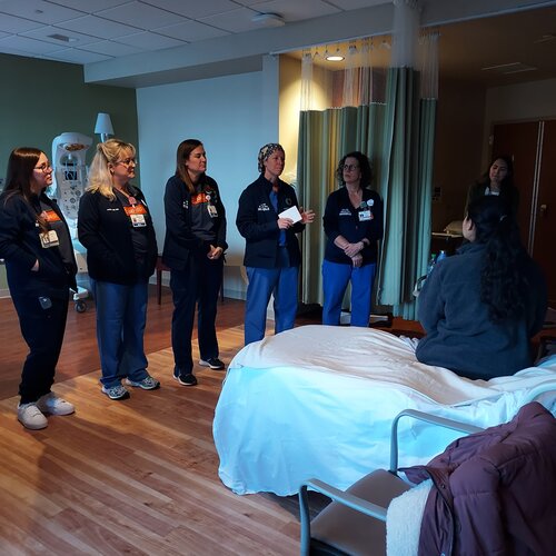 TeamBirth Capital Health Maternity Services
