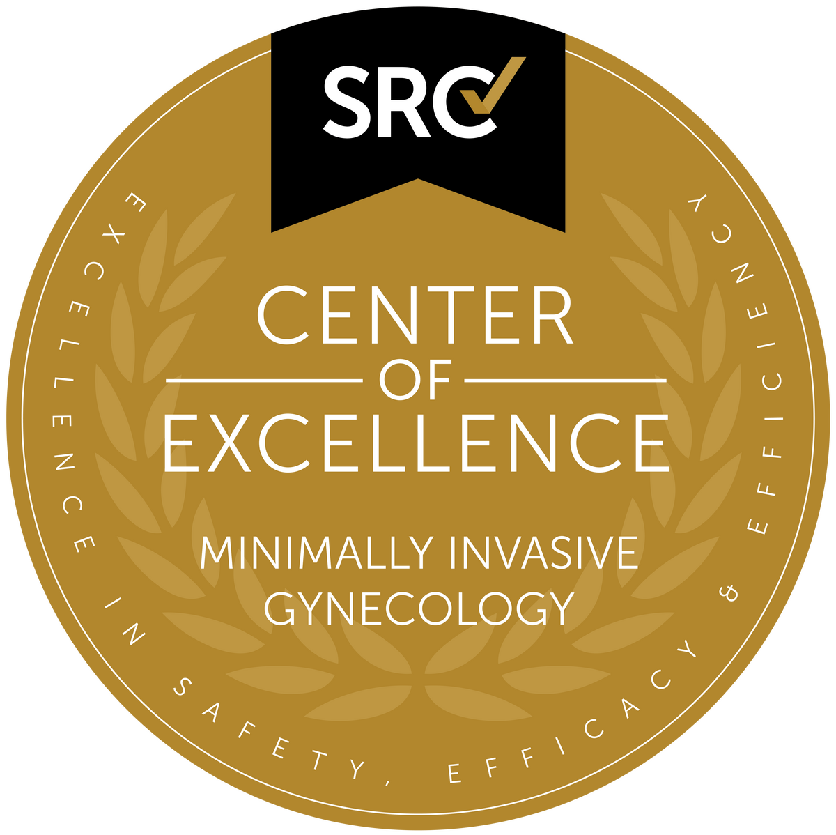 Surgical Review Corporation (SRC) Center of Excellence in Minimally Invasive Gynecology